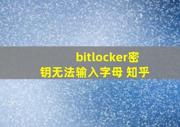 bitlocker密钥无法输入字母 知乎